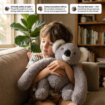 Koa the Koala Weighted Plush