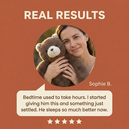 Barney the Bear Weighted Plush